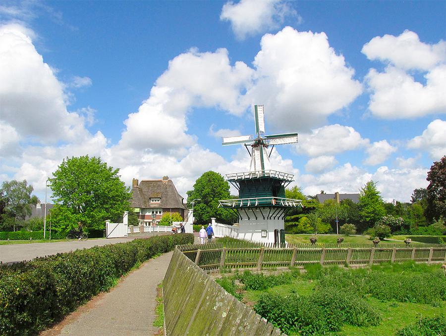 Lokaal webdesign Molentje van Groenendaal Heemstede Webdesign in Heemstede Molentje van Groenendaal | Boomplantacties | Twee bomen geplant bij elk project van Websites
