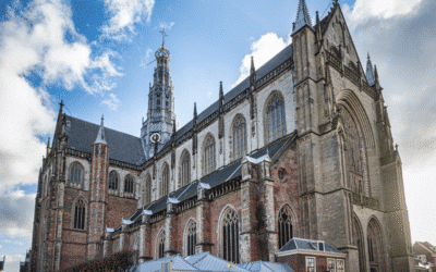 Webdesigner in Haarlem Gezocht?